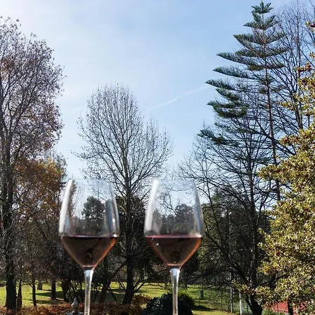 Quinta Do Candeeira * 圣玛丽亚大德费拉