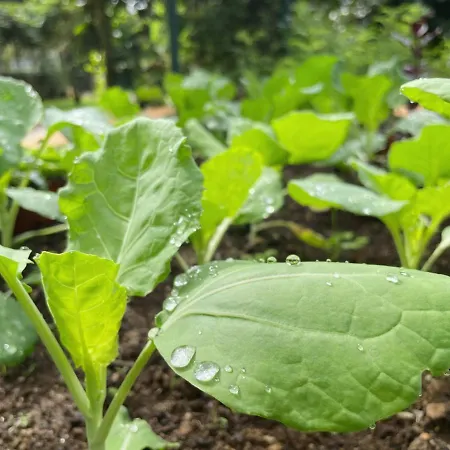 Quinta Do Candeeira Alojamento de Turismo Selvagem Santa Maria da Feira